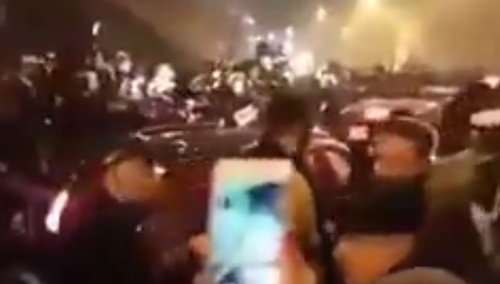 [video] Dzicz pod Wawelem