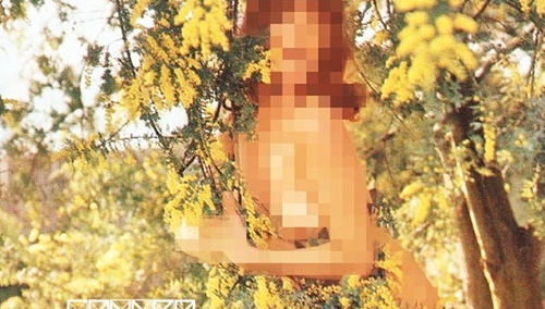 David Alexander Slaager