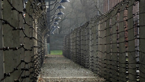 Czy w muzeum KL Auschwitz fałszuje się historię? Wstrząsający list otwarty do Piotra Glińskiego