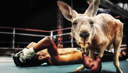 Zadyma w sieci pomiędzy zwolennikami PO i PSL. O co poszło?