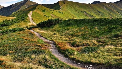 Jerzy Bukowski: Szczytowe chamstwo