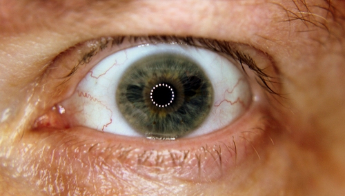 Rozsiewał #fake nt. "pobicia" ciemnoskórego przez ludzi z Polską Walczącą na koszulkach. Teraz prostuje