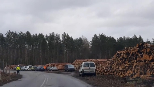 Zakończono wycinkę drzew na Mierzei Wiślanej. Przekopu dokona zagraniczna firma?