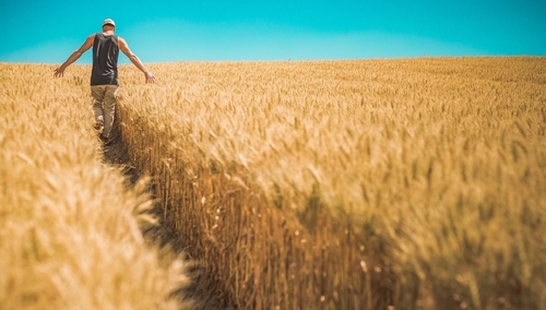 Wojciechowski cytuje: "Rolnik jest karmicielem towarzystwa, każdy inny człowiek wyjadaczem..."