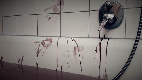 Berlin: Zamordowano 25-letnią Polkę