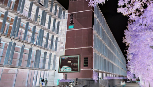 Komentarze po tym jak Wyborcza obraziła Włochów: Forza Italia! Andra Tutto Bene!