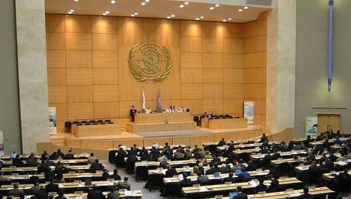 Ordo Iuris: Ideologia przemycana do prawa. W ONZ dojdzie do próby wprowadzenia radykalnych postulatów