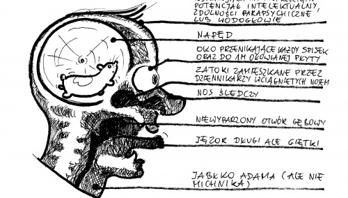 Cezary Krysztopa dla "TS": Handlowałem sprośnymi rysunkami