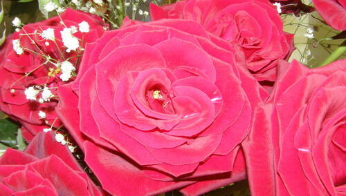 "Manifest kobiet" przed 8 marca: Aby Czarne Panie nie wypowiadały się w naszym imieniu