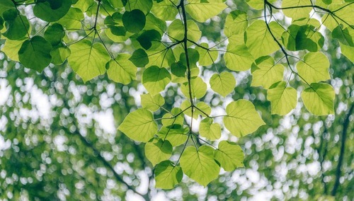 Jerzy Bukowski: Ekologia w miejsce gastronomii