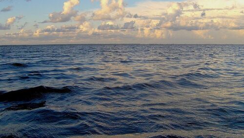 Internauci już wiedzą. Jak wygląda "Morze Azorskie"?