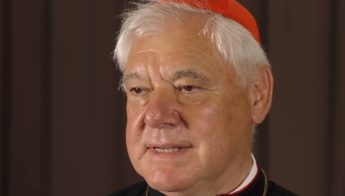 [video] Niemiecki kardynał apeluje, żeby UE respektowała polską demokrację i wolność