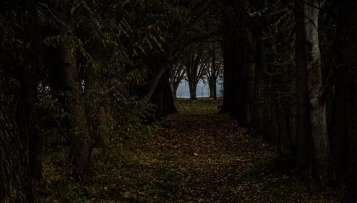 Sprostowanie do wpisu "Miliardy prywatyzowane w lasach państwowych" [blog Gazety Obywatelskiej]