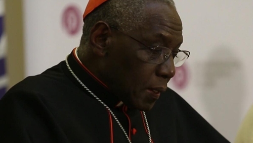 Kard. Sarah do Belgów: Najbardziej prześladowani chrześcijanie nie żyją na Bliskim Wschodzie, lecz tutaj