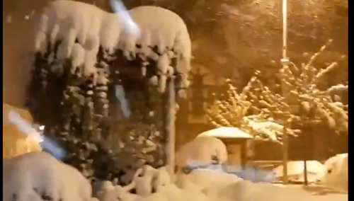 [Wideo] To niemal pogodowy kataklizm. Śnieg spowodował…