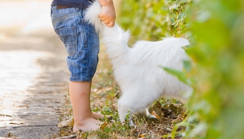 Cezary Krysztopa dla "TS": Dom wariatów, czyli kto kogo zeżre