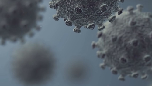 Ryszard Czarnecki: COVID-19: liczby i ludzie