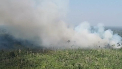 DW: "G7 osiąga porozumienie, aby pomóc Amazonii"