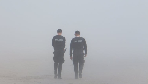 Polityka.pl: "Ktoś wstrzymywał poszukiwania Falenty". Naczelnik Wydz.Poszuk.: "Czytam i oczom nie wierzę"