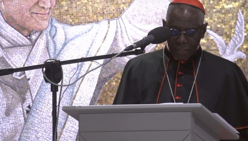 Kardynał Sarah wydał oświadczenie ws. wspólnej książki z Benedyktem XVI. Jest tłumaczenie!