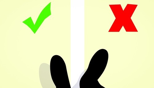 Krysztopa: Awaria "doktryny prof. Parucha"