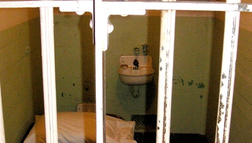 [Tylko u nas] Tekieli: Po Trybunale trzeba wprowadzić program Cela+. Są złodzieje, musi być więzienie