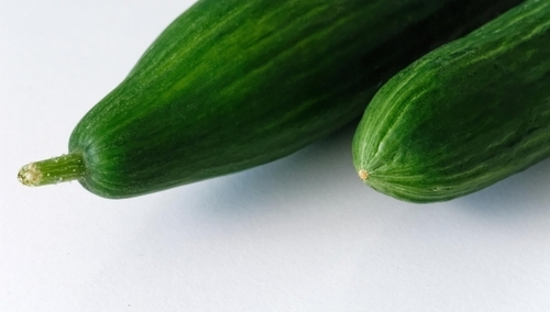 Romuald Szeremietiew: Dedykuję artystom, którzy nie chcą występować w Opolu