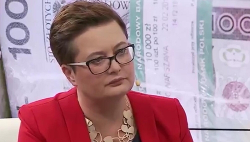 Doktor matematyki Katarzyna Lubnauer: "80 ton, to mniej niż 3 tiry". Internauci tłumaczą. Bez powodzenia