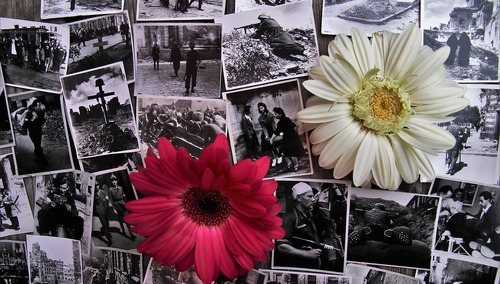 Jerzy Bukowski: Młodzież pamięta o bohaterach z najnowszej historii Polski