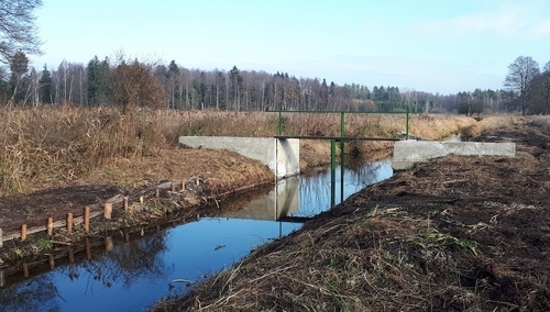 Zastawka na rzece Płoska w województwie podlaskim