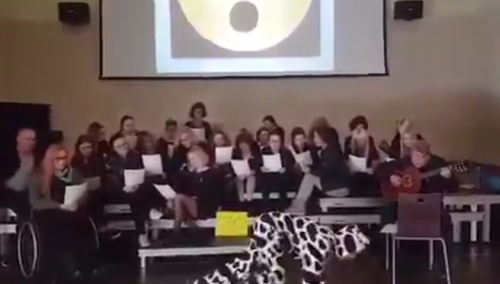 [video] Strajk w oświacie coraz ciekawszy. Nauczyciel przebrany za krowę chodził na 4. łapach i muczał