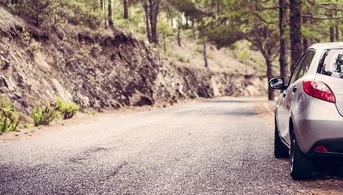 W lesie znaleziono ciało mężczyzny. Mógł paść ofiarą zatrucia silnie toksyczną substancją