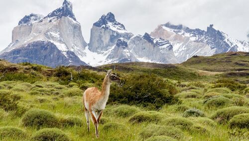 torres del paine