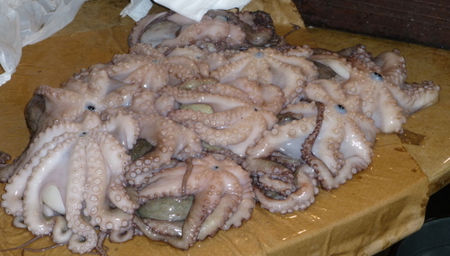 Jacek Wrona: Ośmiorniczki i ośmiornica