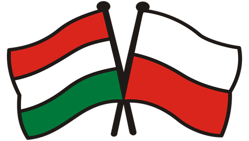 Wymowne. Wzrost produkcji przemysłowej w listopadzie 2019 r. Na czele Polska i Węgry i długo nic...