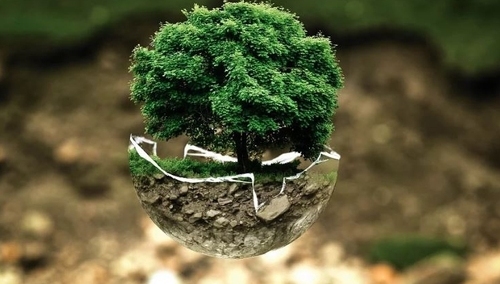 Prawy Sierpowy Mikroblog: Nowa sekta pod wezwaniem ekologizmu