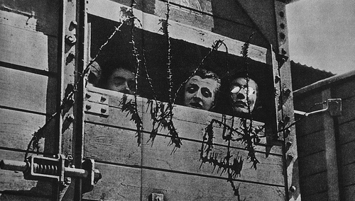 Maciej Skotnicki: Nie ma miejsca dla dwóch ofiar Holokaustu