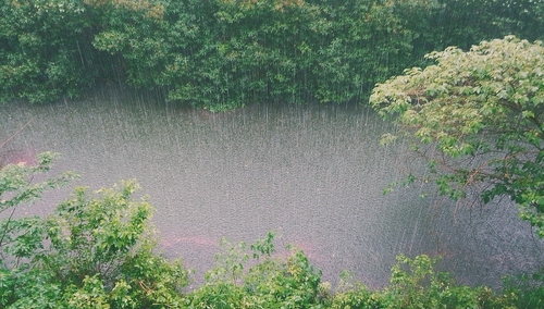 To nie koniec anomalii pogodowych. Alarm dla sześciu województw. Możliwe ostrzeżenie III stopnia