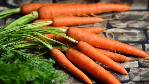 Andrzej Duda podpisał ustawę o znakowaniu żywności wolnej od GMO