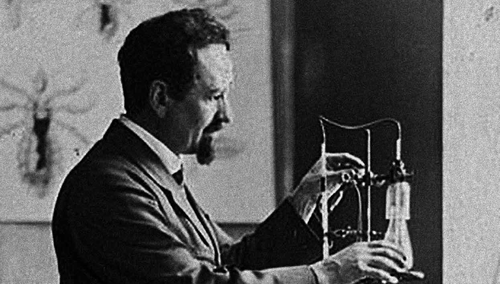 Najbardziej niedoceniony polski naukowiec? Uratował życie milionów, czterokrotnie nominowany do Nobla