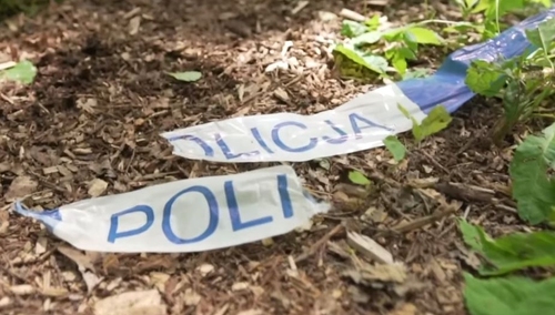 Mrowiny: Mężczyzna podejrzany o zabójstwo 10-letniej Kristiny przyznał się do winy