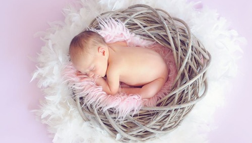 Spurek broni ptaków: "Wrzuć zdjęcie z dłońmi ułożonymi w kształt ptasich skrzydeł". A za aborcją agituje