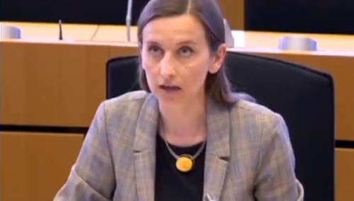 "Gdyby była Pani choć trochę bardziej rozgarnięta...". Prof. Żerko bezlitośnie odpowiada Spurek