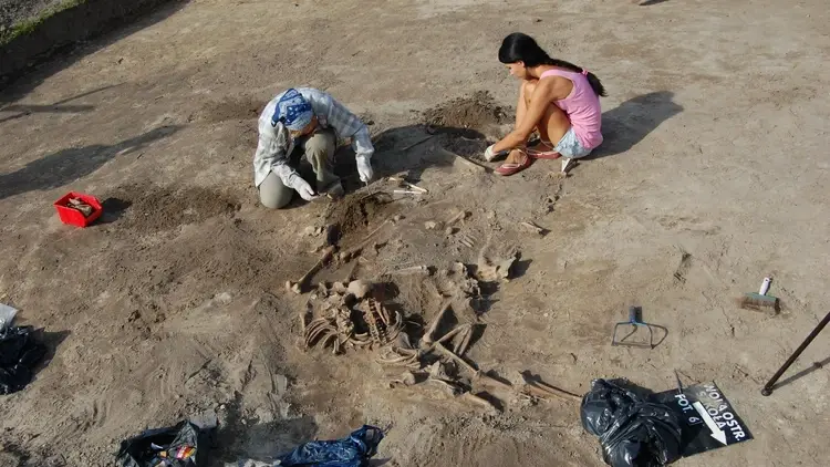 Prace poszukiwawcze w Woli Ostrowieckiej w 2011 roku