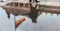 Flaga Niemiec odbita w kałuży