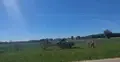 Śmigłowiec LPR wylądował w Anielinie po wybuchu gazu