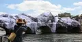 Paryż most Pont Neuf przykryty instalacją artysty JR