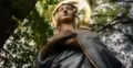 grafika przedstawiająca figurę Najświętszej Maryi Panny