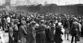 Selekcja Żydów na rampie w Auschwitz-Birkenau przed wysłaniem do komór gazowych