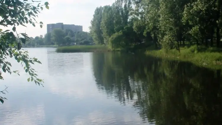 Staw Maroko w Katowicach widok z brzegu